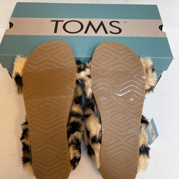 TOMS Slides - Picture 13 of 15